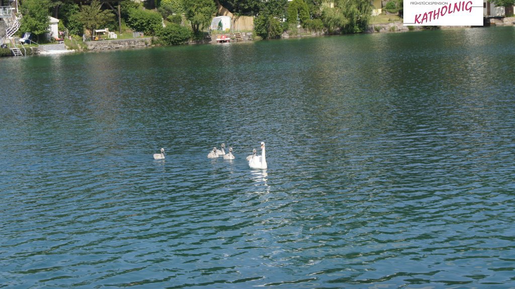 Magdalenensee