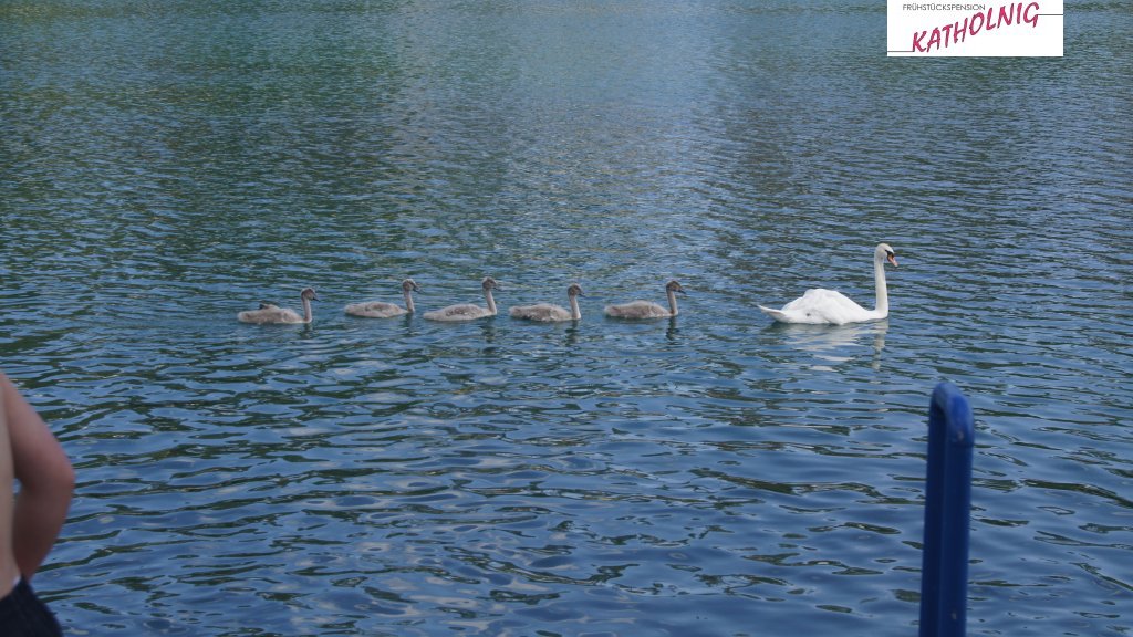 Magdalenensee